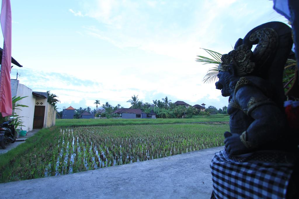 Pondok Buda Merta Ubud Zewnętrze zdjęcie