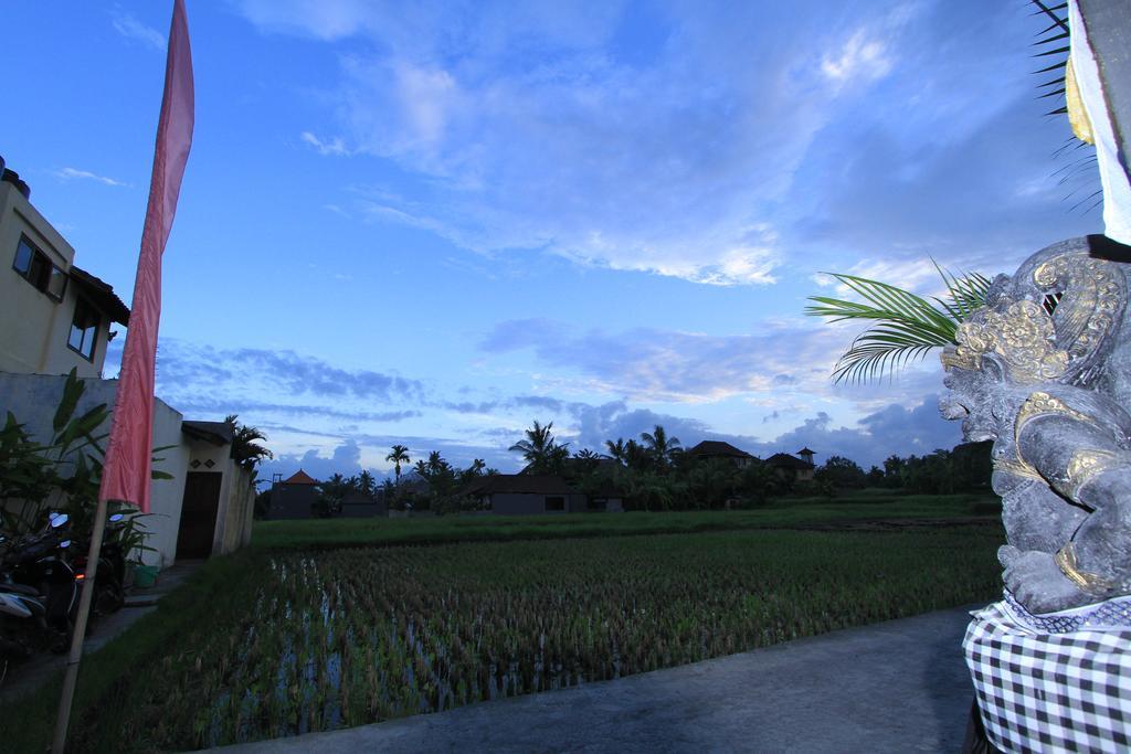 Pondok Buda Merta Ubud Zewnętrze zdjęcie
