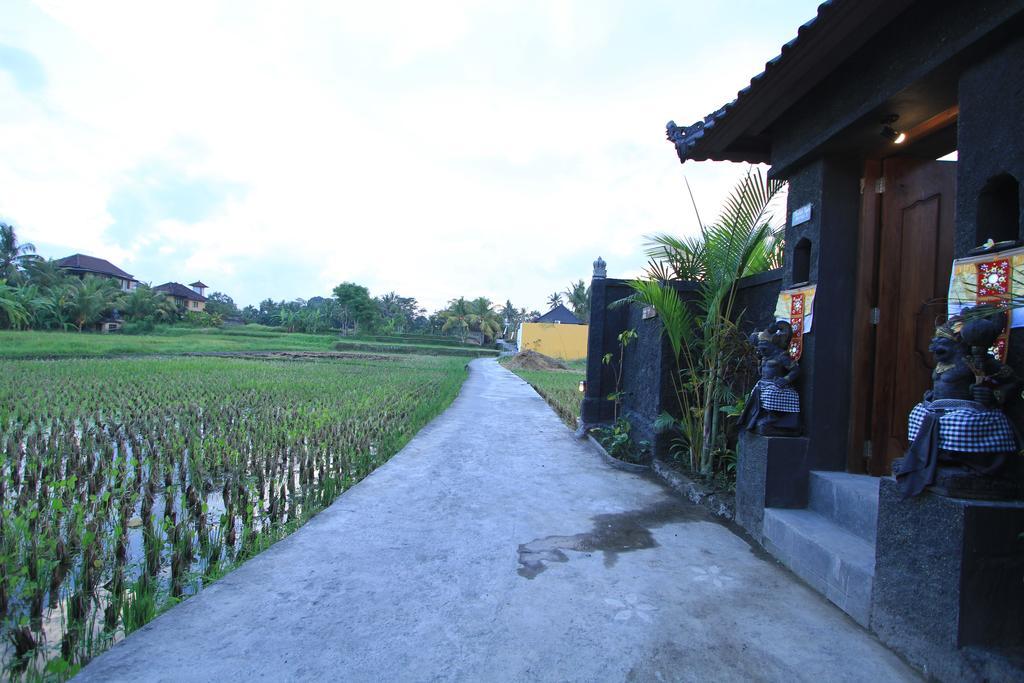 Pondok Buda Merta Ubud Zewnętrze zdjęcie