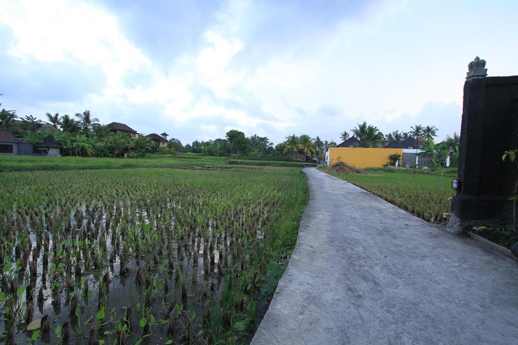 Pondok Buda Merta Ubud Zewnętrze zdjęcie